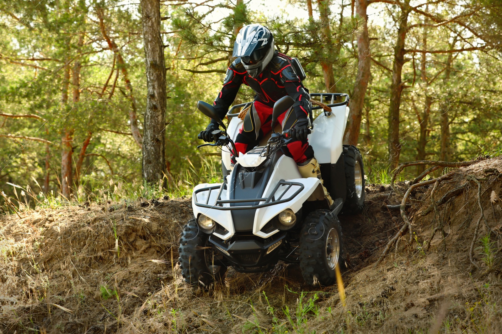 Photo of Man driving modern quad bike in forest. Extreme sport