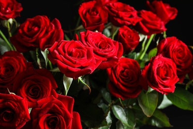 Beautiful red rose flowers, closeup view