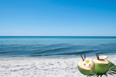 Green coconuts with refreshing drink and beautiful flower on sandy beach near sea, space for text