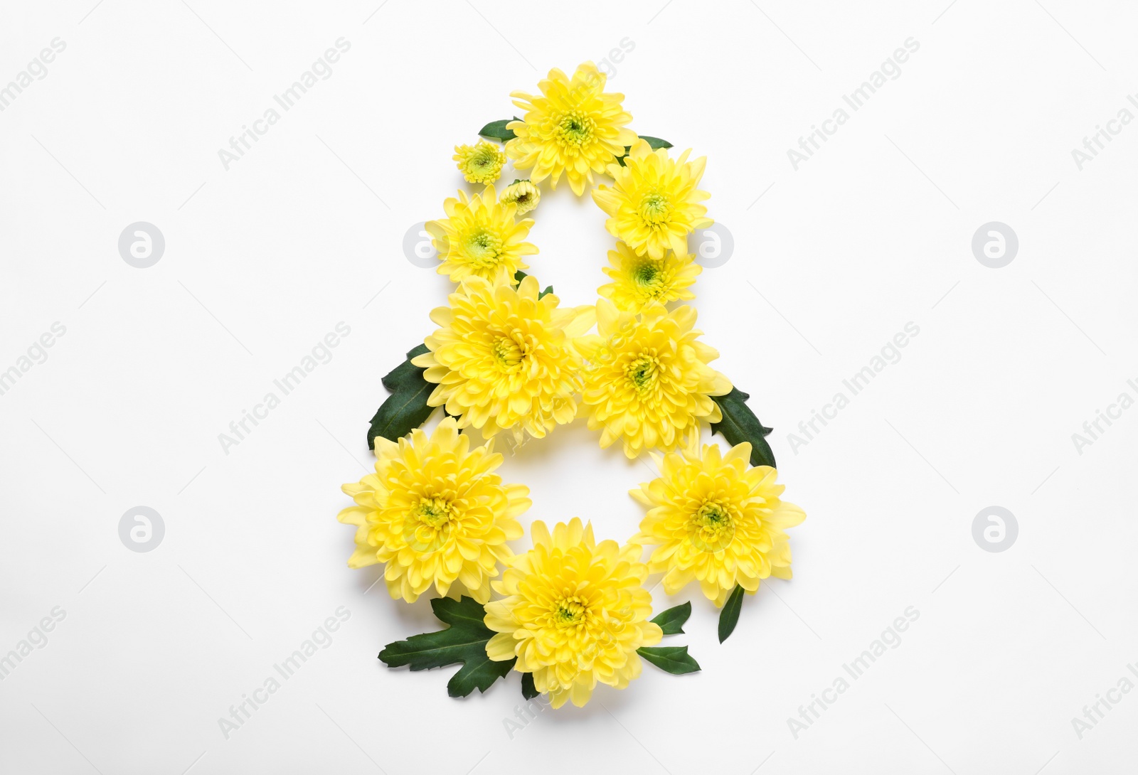 Photo of 8 March greeting card design with chrysanthemum flowers on white background, top view. International Women's day