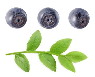 Image of Set with fresh ripe bilberries and green leaves isolated on white