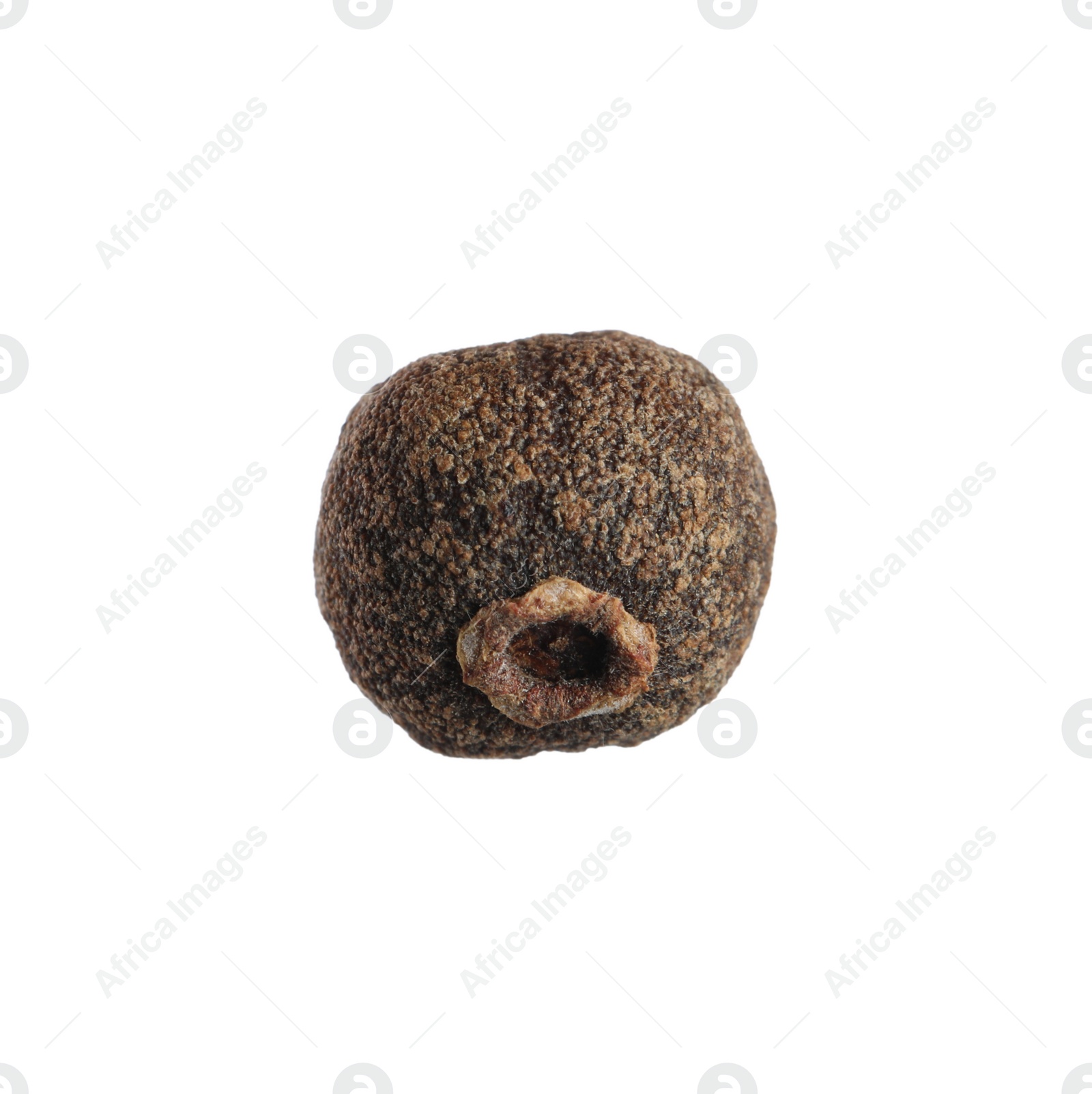 Photo of One aromatic allspice peppercorn isolated on white