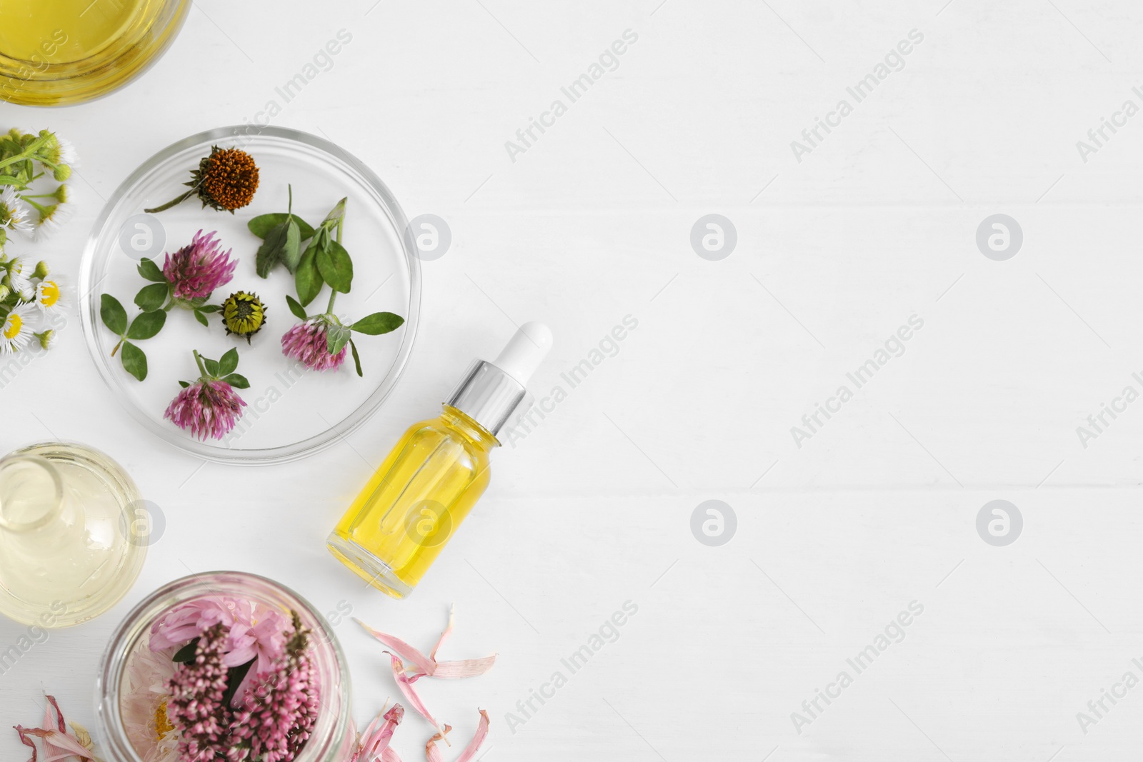 Photo of Flat lay composition with cosmetic oil and flowers on white table, space for text