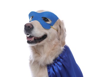 Photo of Adorable dog in blue superhero cape and mask on white background