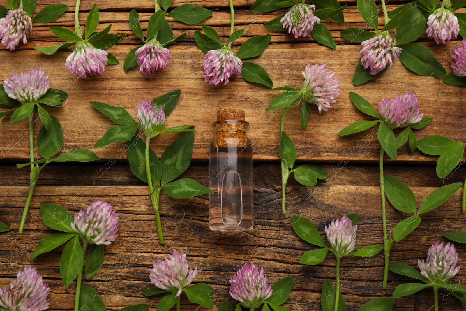 Photo of Beautiful clover flowers and bottle of essential oil on wooden table, flat lay