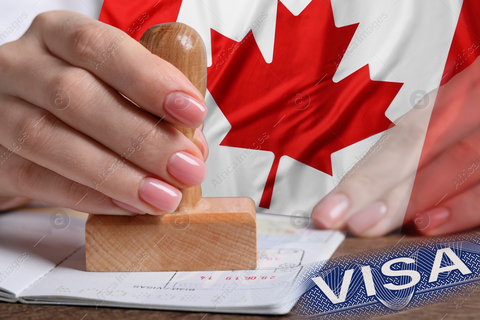 Image of Multiple exposure of woman stamping visa page in passport and flag of Canada, closeup