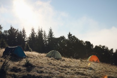 Camping tents on grassy hill near forest in morning