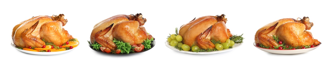 Image of Collection of cooked turkey with different garnishes on white background. Banner design