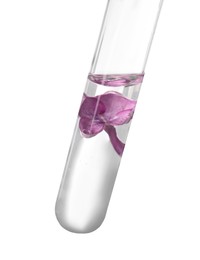 Photo of Test tube with lilac flower on white background. Essential oil extraction