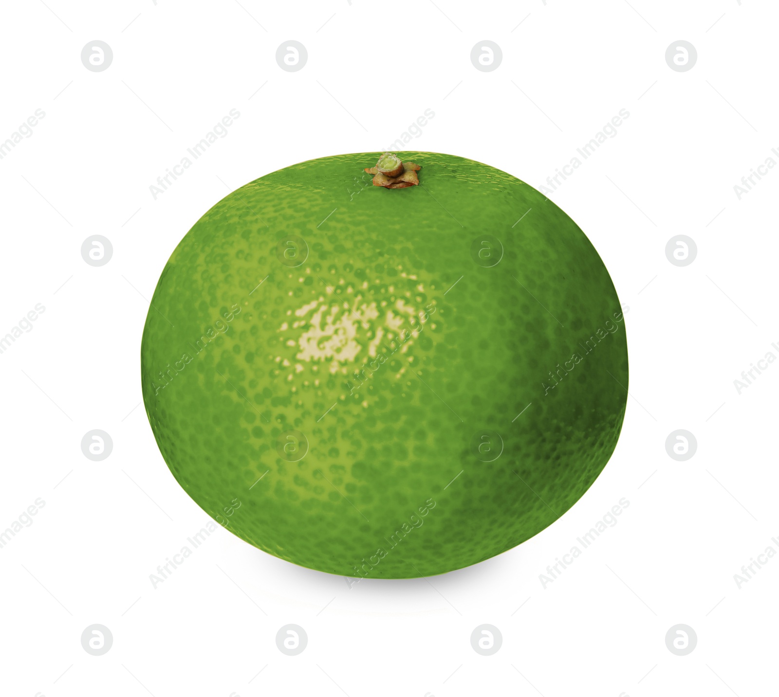 Image of Green tangerine isolated on white. Citrus fruit