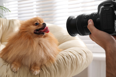 Photo of Professional animal photographer taking picture of beautiful Pomeranian spitz dog indoors, closeup
