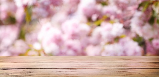 Empty wooden surface and beautiful blossoming sakura tree on background. Banner design