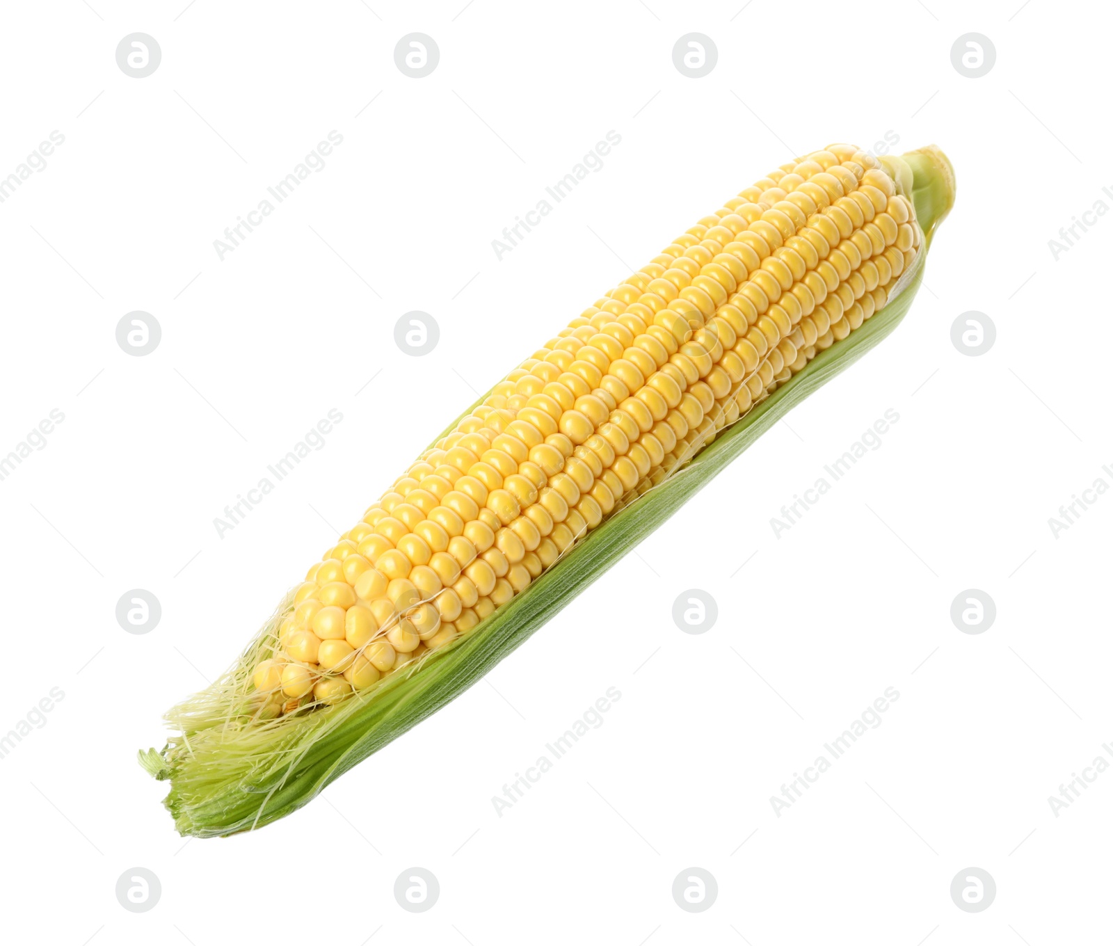 Photo of Ripe corn cob with husk isolated on white