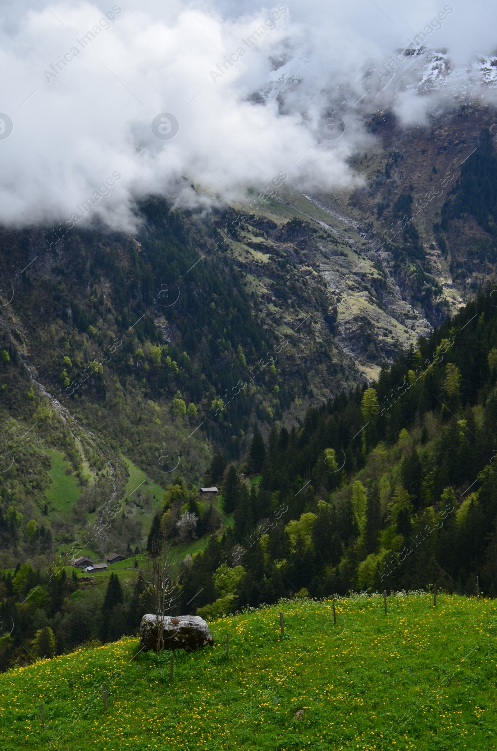 Photo of Picturesque view of mountain landscape with forest outdoors