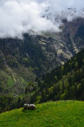 Photo of Picturesque view of mountain landscape with forest outdoors