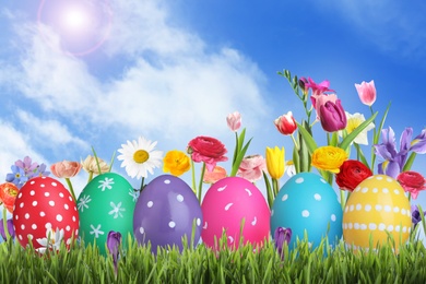 Image of Bright Easter eggs and spring flowers on green grass outdoors