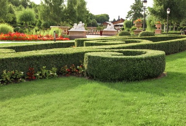 Photo of Picturesque landscape with beautiful green lawn on sunny day. Gardening idea