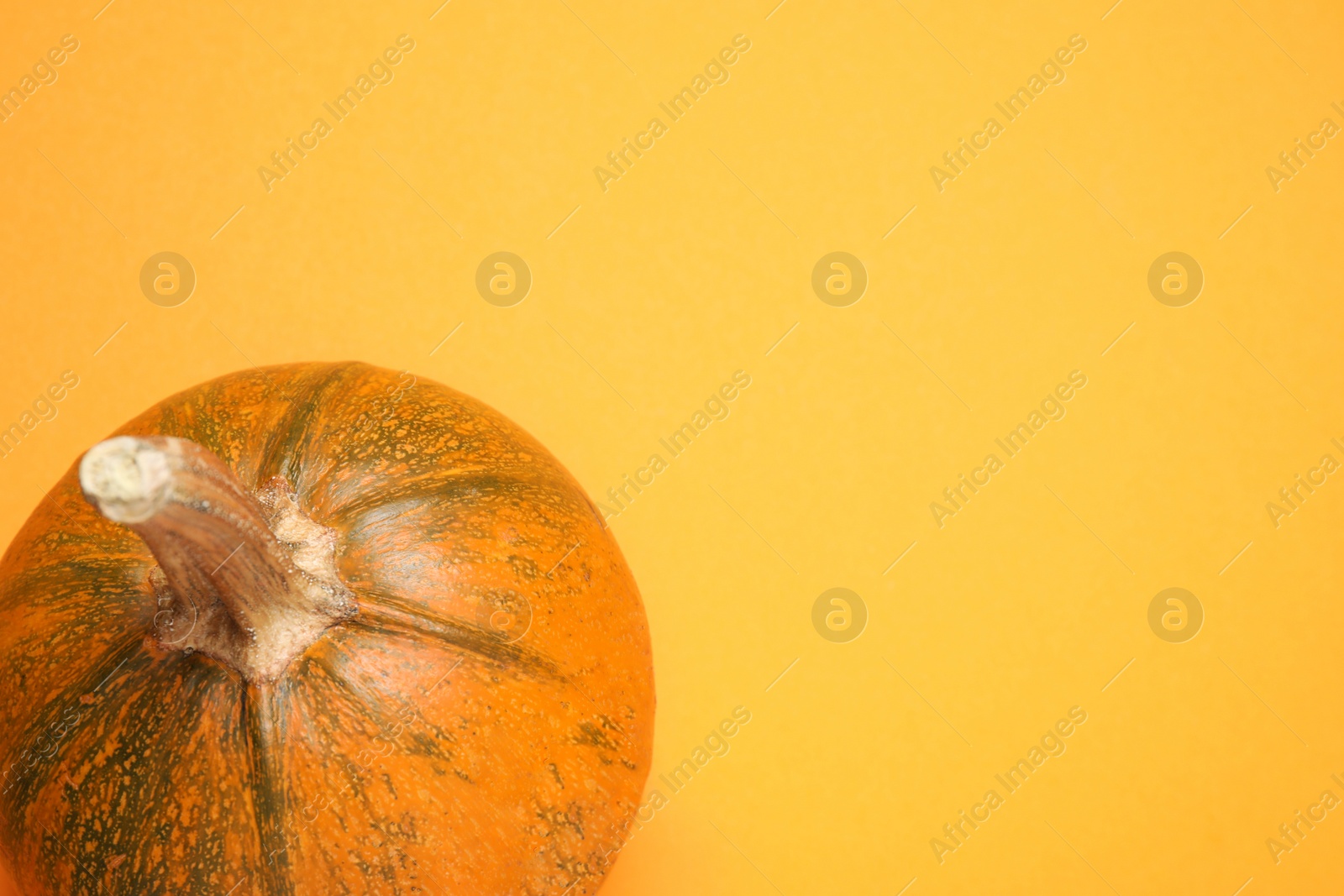 Photo of Fresh ripe pumpkin on orange background, top view with space for text. Holiday decoration