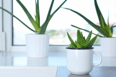 Potted aloe vera in mug and space for text on blurred background