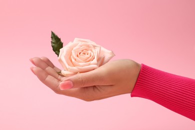 Photo of Woman holding beautiful rose on pink background, closeup