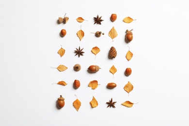 Flat lay composition with autumn leaves on white background