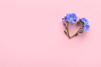Photo of Heart of beautiful blue forget-me-not flowers on pink background, flat lay. Space for text
