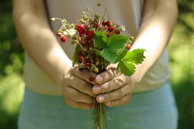 Woman holding bunch with fresh wild strawberries on blurred background, closeup