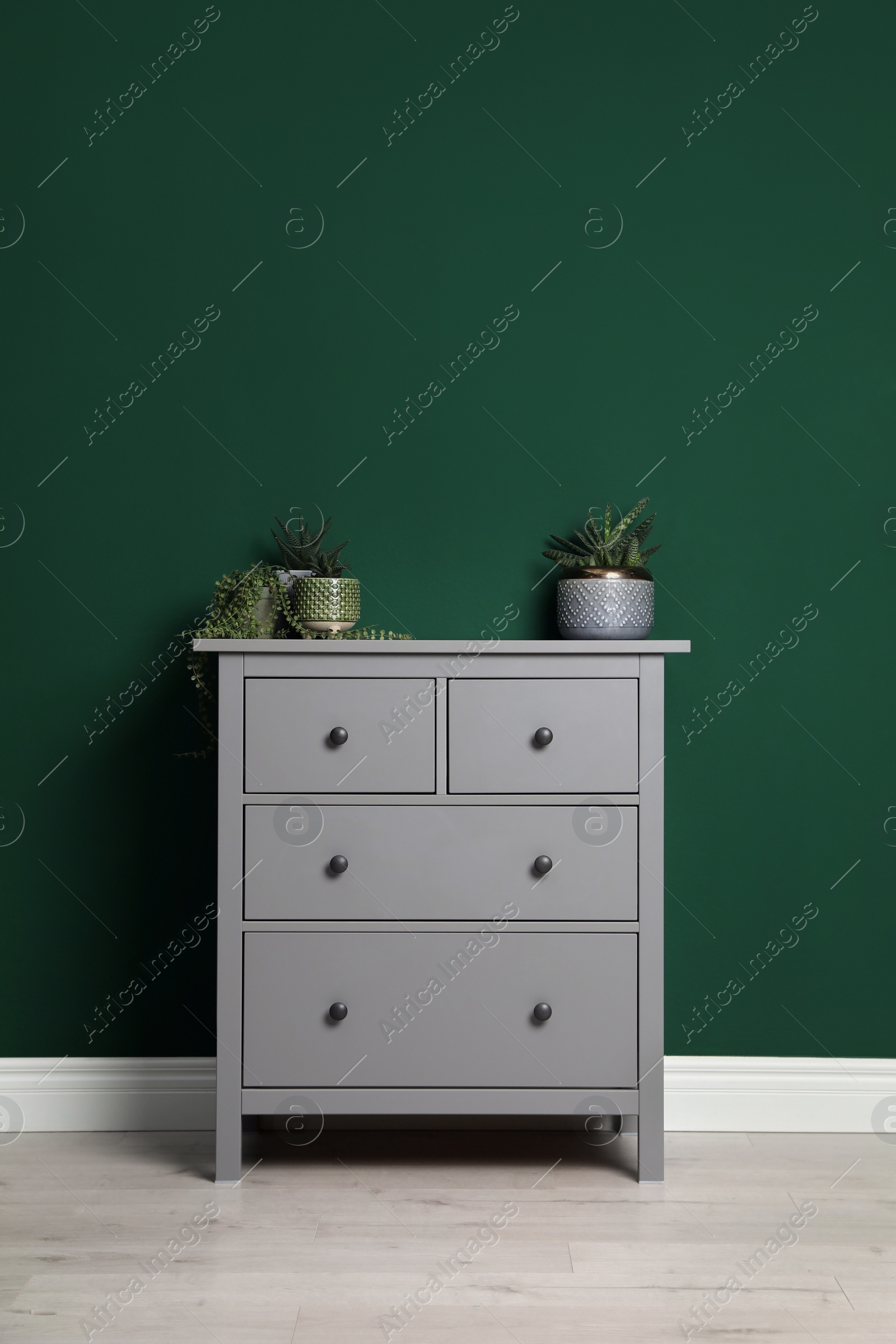 Photo of Modern chest of drawers with houseplants near green wall indoors