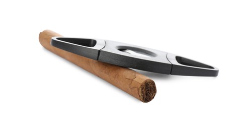 Photo of Cigar and guillotine cutter on white background