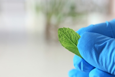 Photo of Lab assistant holding green leaf on blurred background, closeup with space for text. Plant chemistry