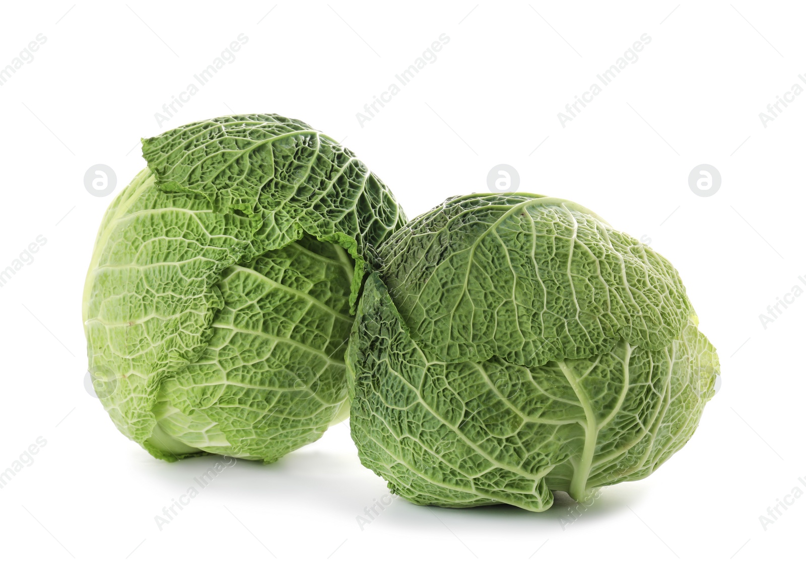 Photo of Fresh green savoy cabbages on white background