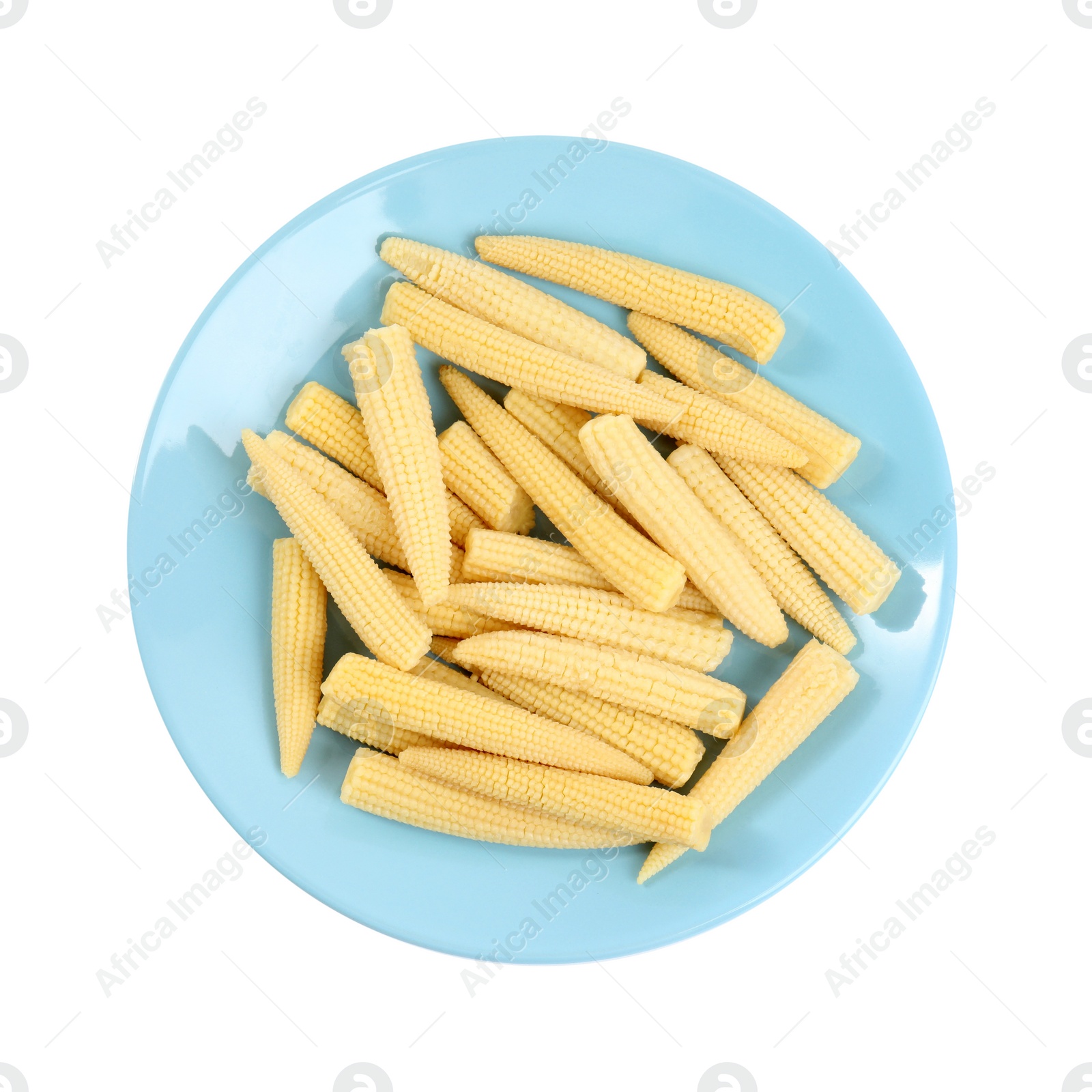 Photo of Fresh baby corn cobs on white background, top view