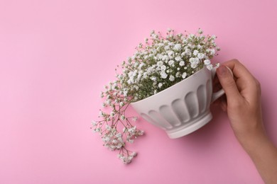 Top view of woman holding white cup with gypsophila on pink background, closeup Space for text