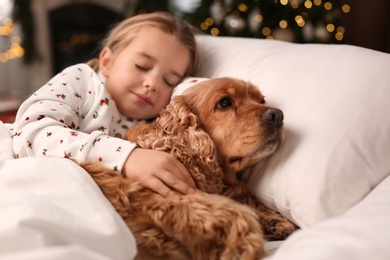 Photo of Cute little girl and her English Cocker Spaniel lying in bed at home decorated with Christmas lights