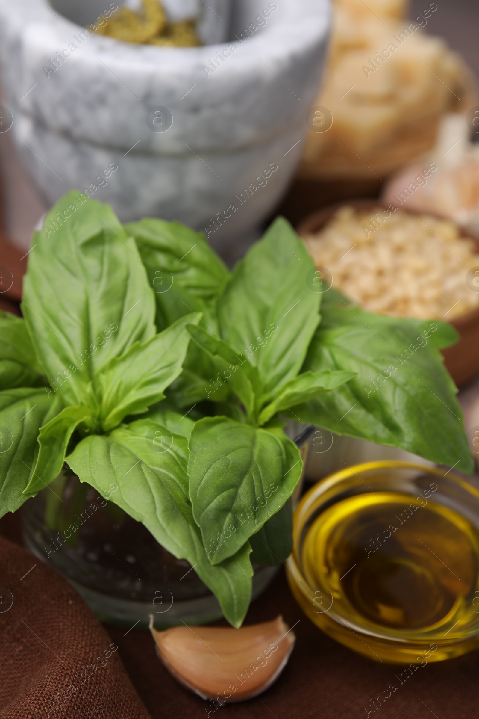 Photo of Different ingredients for cooking tasty pesto sauce on brown fabric, closeup