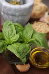 Photo of Different ingredients for cooking tasty pesto sauce on brown fabric, closeup