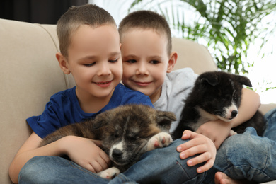Photo of Little boys with Akita inu puppies on sofa at home. Friendly dogs
