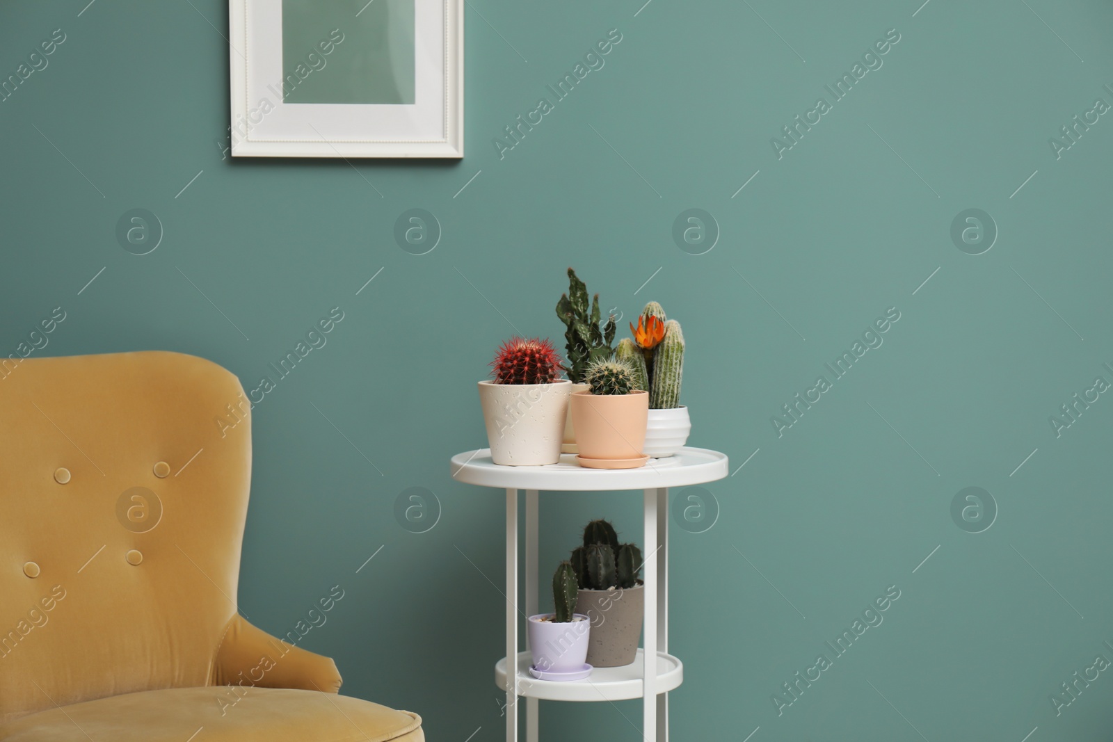 Photo of Beautiful interior with different cacti in flowerpots