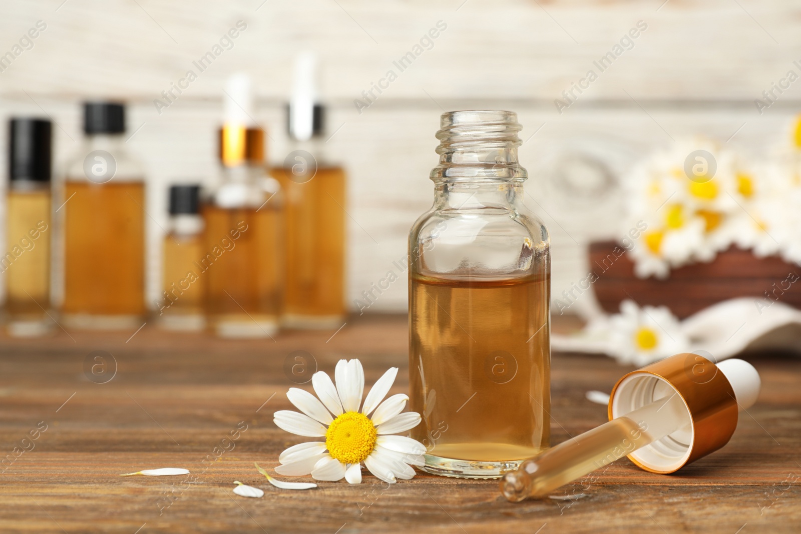 Photo of Composition with bottle of chamomile essential oil on table. Space for text