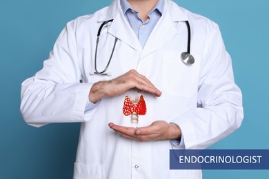 Image of Endocrinologist holding thyroid illustration on light blue background, closeup