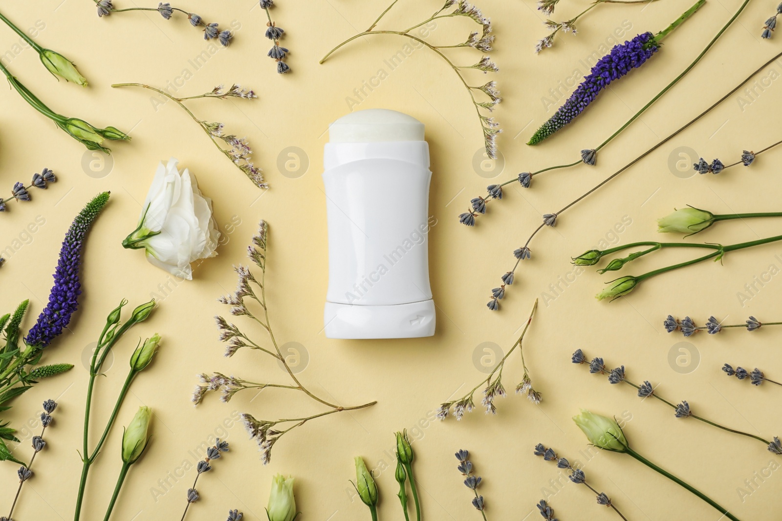 Photo of Flat lay composition with deodorant and herbs on color background