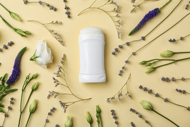 Photo of Flat lay composition with deodorant and herbs on color background