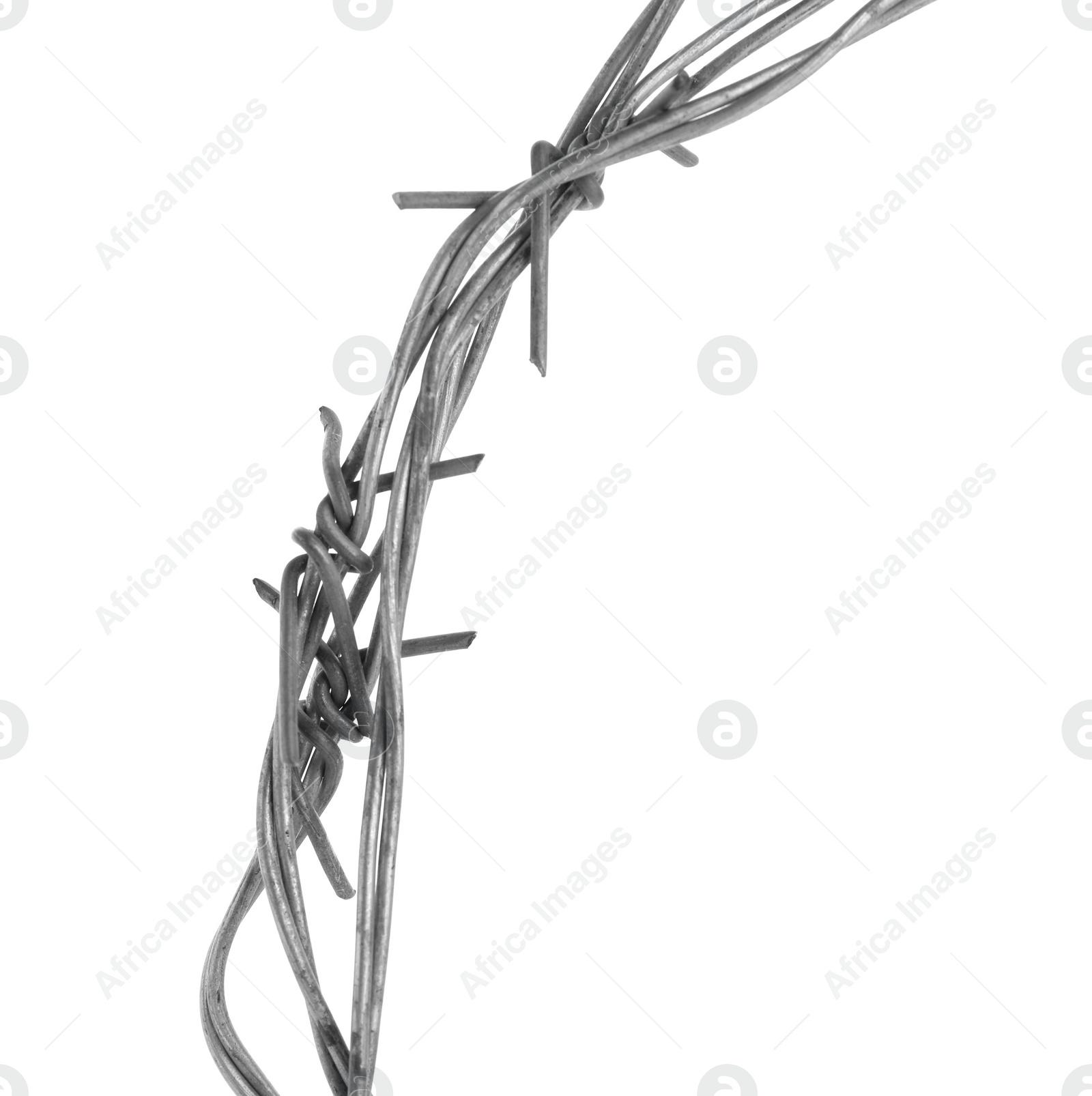 Photo of Shiny metal barbed wire isolated on white