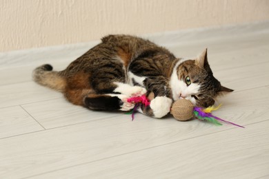 Photo of Cute cat playing with toy on floor at home. Lovely pet