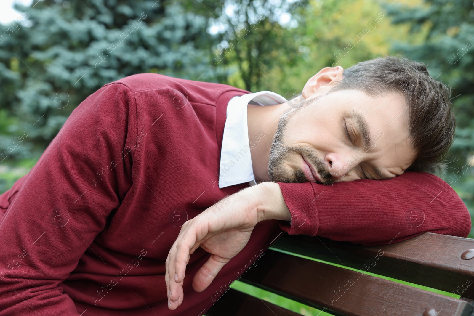 Photo of Tired man sleeping on bench in beautiful green park