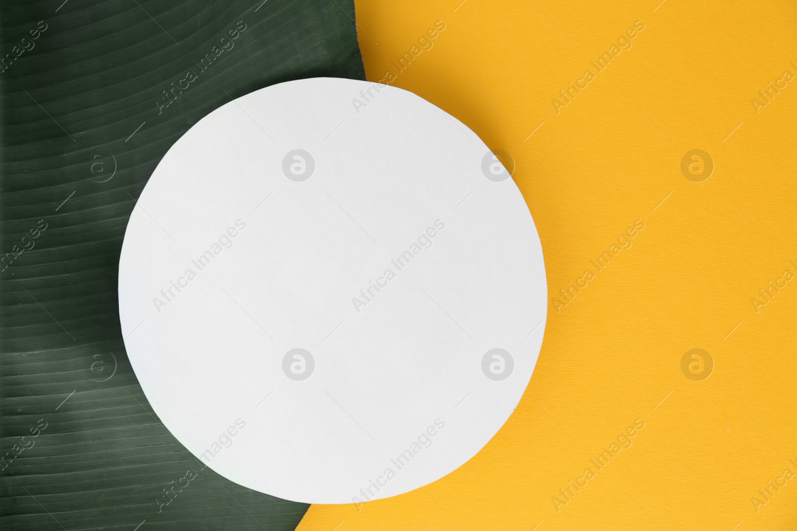 Photo of Flat lay composition with green banana leaf and space for text on color background. Tropical foliage