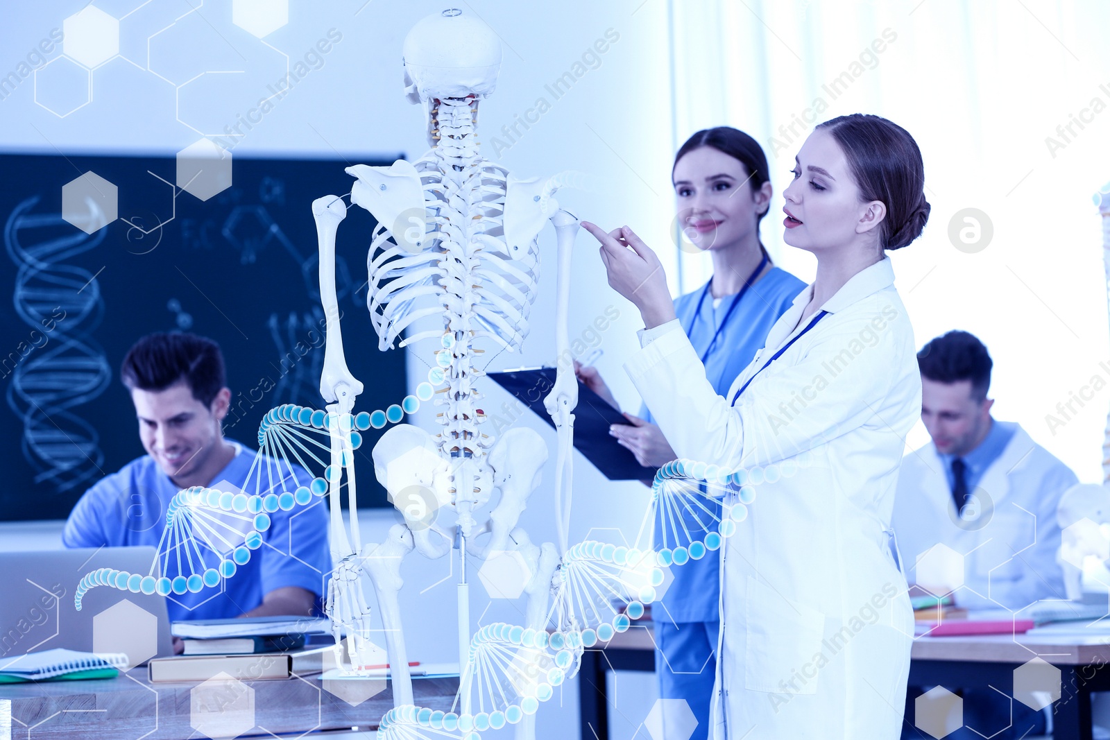 Image of Medical students studying human skeleton anatomy in classroom