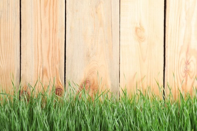 Photo of Fresh green grass near wooden fence. Space for text