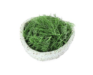 Bowl of fresh dill isolated on white