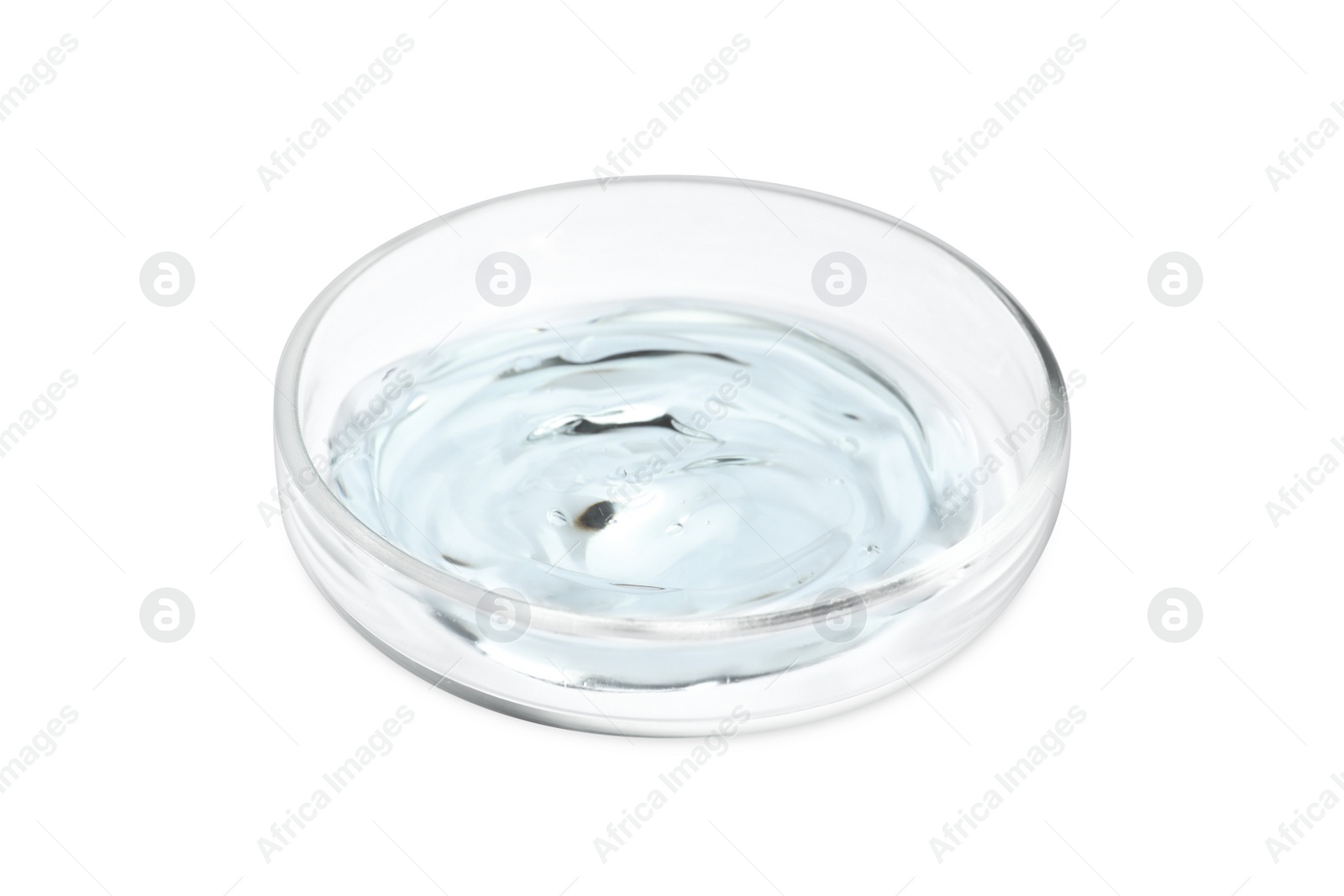 Photo of Petri dish with liquid isolated on white